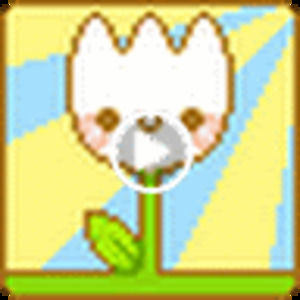 Meet your Posher, Shawntel